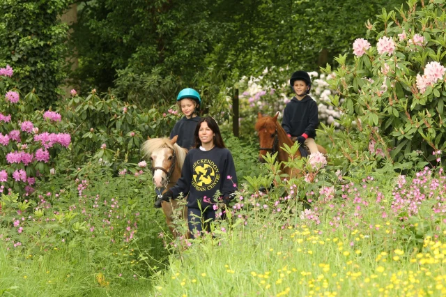 🦄🐣Easter holidays activities are running as follows:🐣🦄

Pony Mornings 10am-1pm - for children aged 5-10yrs (no previous experience required) - £68:

Tuesday 8th April
Wednesday 9th April
Thursday 10th April
Friday 11th April
Tuesday 15th April
Wednesday 16th April
Thursday 17th April
Wednesday 23rd April
 
Pony Easter eggs hunts in the woods - for children aged 3yrs+ - £30

This is a 30min ride around the woods where riders will look out for and count as many eggs as they can find.
At the end of the ride, they receive an easter treat.
 
All bookings can be made online https://checkendonec.ecpro.co.uk/
 
For groups of 3 riders or more please email info@checkendonequestrian.co.uk